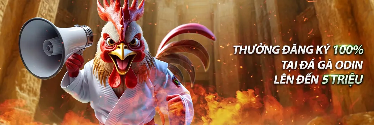 Trận đấu đá gà trực tiếp tại trường gà, với màn hình hiển thị tỷ lệ cược trên One88