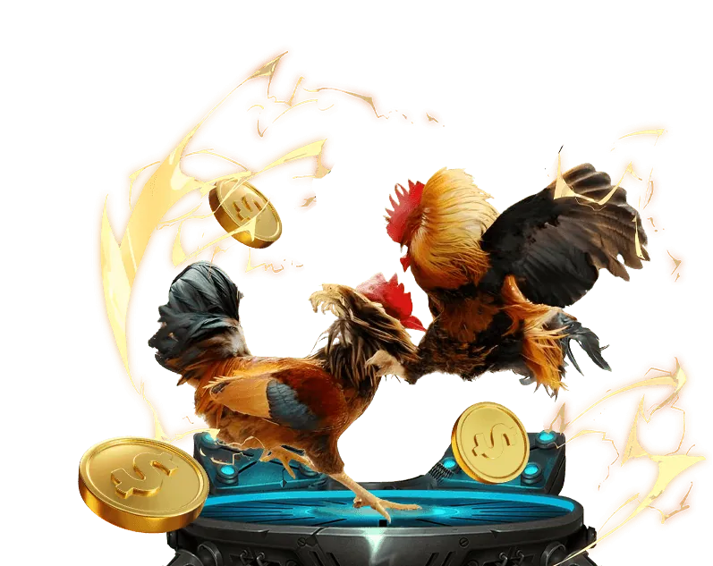 Đá gà trực tuyến FA88 - Kịch tính từng trận đấu